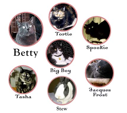 The Cat Faeries Family Photos