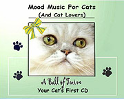 Music for Cats CD case