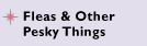Fleas & Other Pesky things