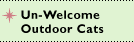 Unwelcome Cats