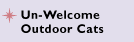 Unwelcome Cats