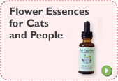 Flower Essences