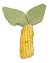 Organi Catnip Toys