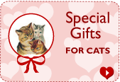 Catnip Toys