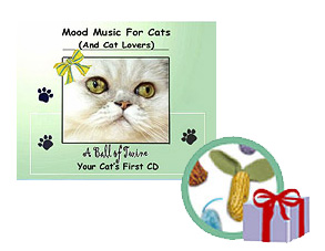 music-kitty-set.jpg