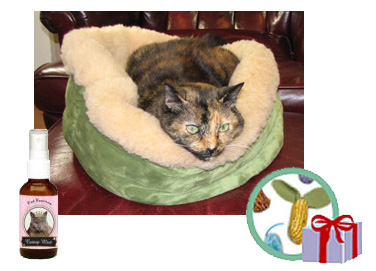 rested-playful-gift-set.jpg