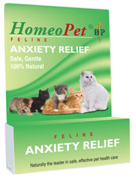 hp-anxiety.jpg