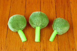 broccoli-270.jpg