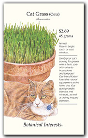 cat-grass.jpg