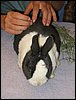 IMG_0421.jpg