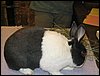 IMG_0422.jpg
