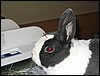 IMG_0424.jpg