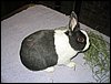 IMG_0425.jpg