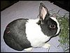 IMG_0426.jpg