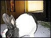 IMG_0427.jpg