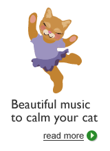 Music for cats