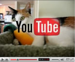 Juno loves her corncob video preview