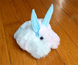 fuzzy-bunny-270