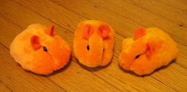 hamster-270.jpg