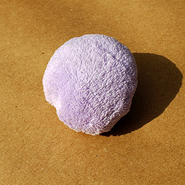 orb-new-270