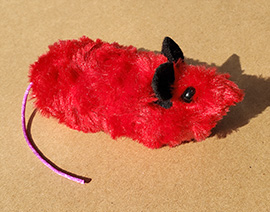 teddy-rodent-270
