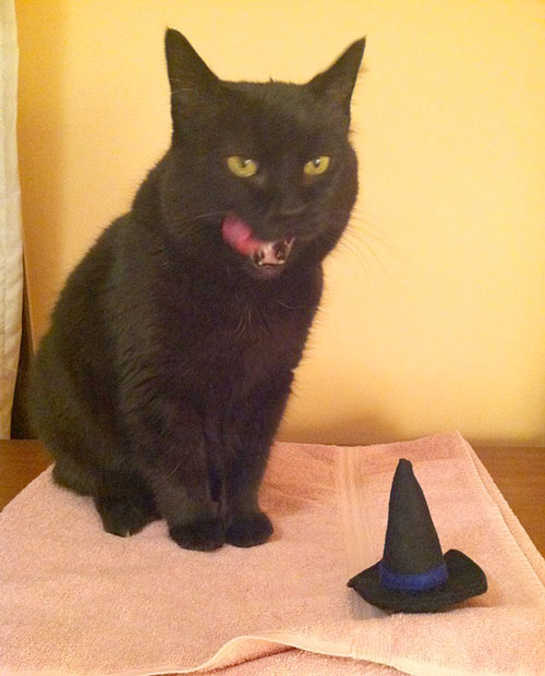 witch-got-eaten-500.jpg
